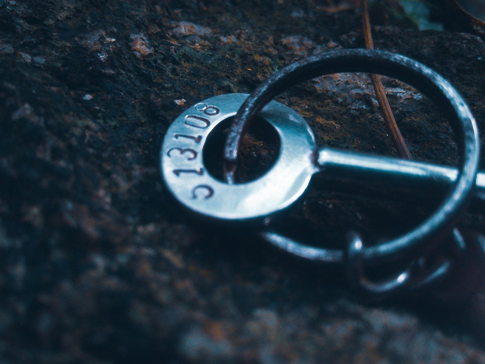 Macro shot of a metal key ring with key lying on a rough textured ground outdoors.